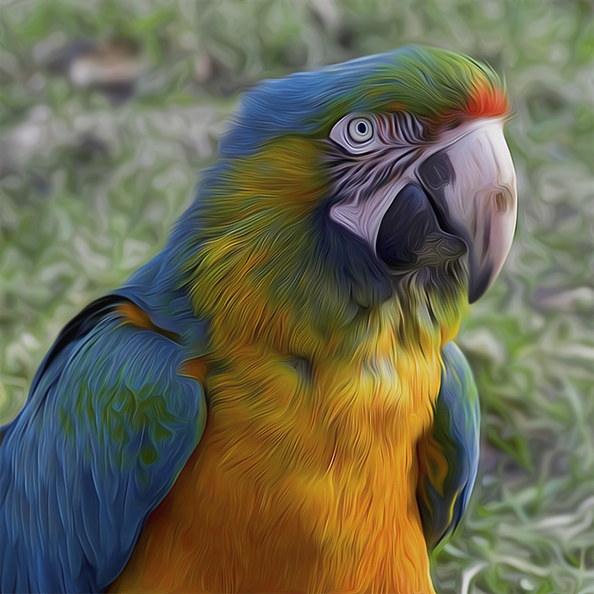 001 +-tiere-papagei-D35_2401-als-Smart-Objekt-1 als Smartobjekt-1 kopieren.jpg